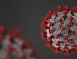 El cambio Strikes Back. Cómo enfocarnos a planificar en la coyuntura actual.